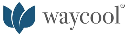 Waycool Foods and Products Private Limited
